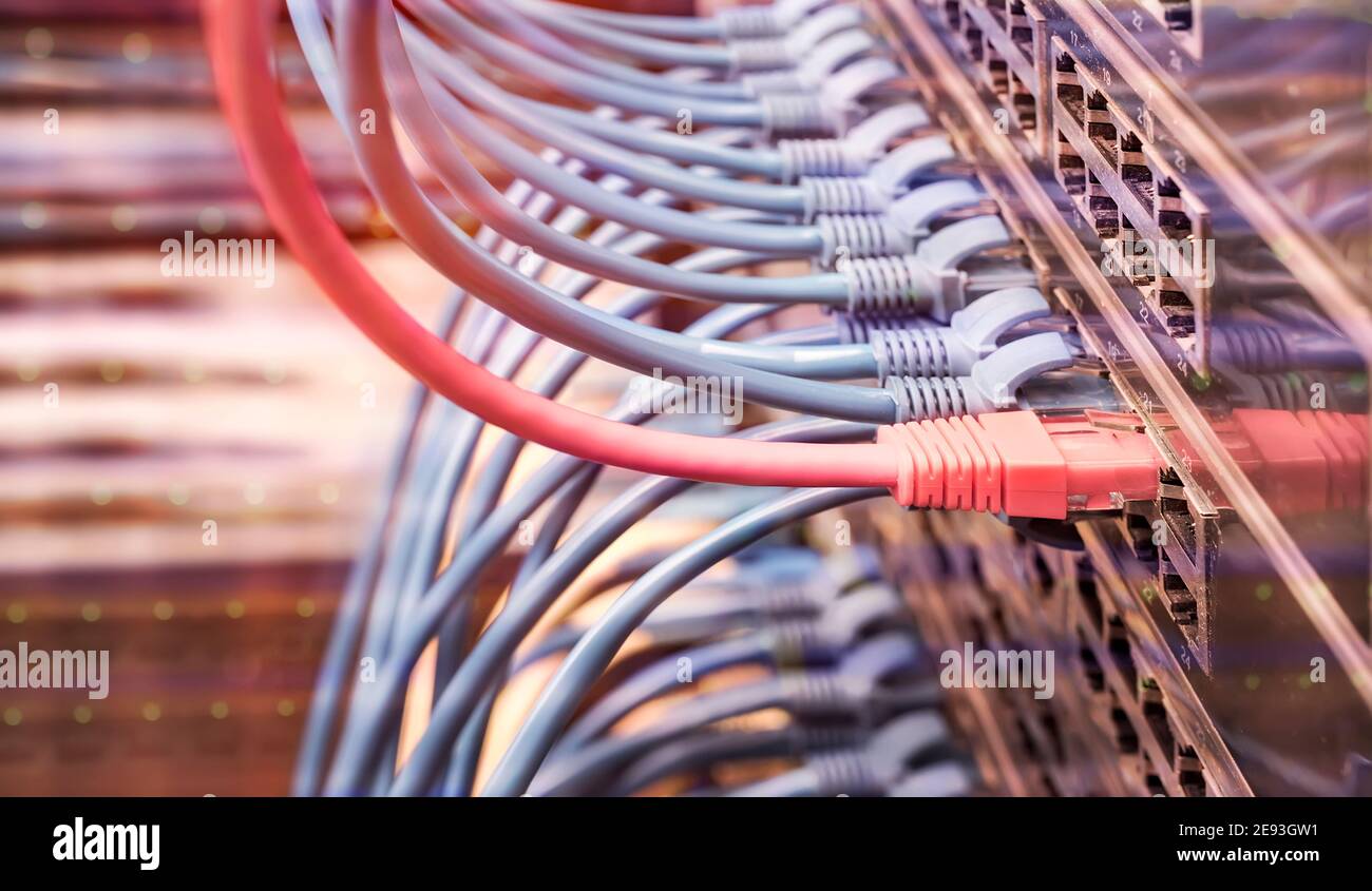 Server rack with blue and red patch cord cables connected to