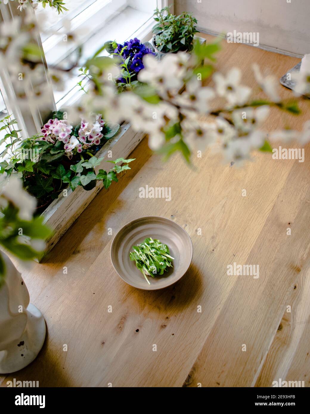 Dish of cottage cheese and garden greens with flowers made at a restaurant Stock Photo