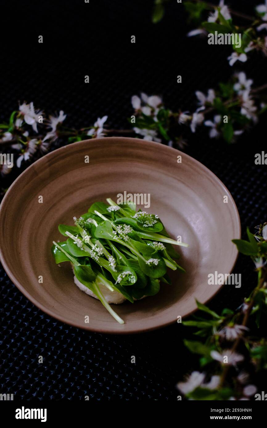 Dish of cottage cheese and garden greens with flowers made at a restaurant Stock Photo