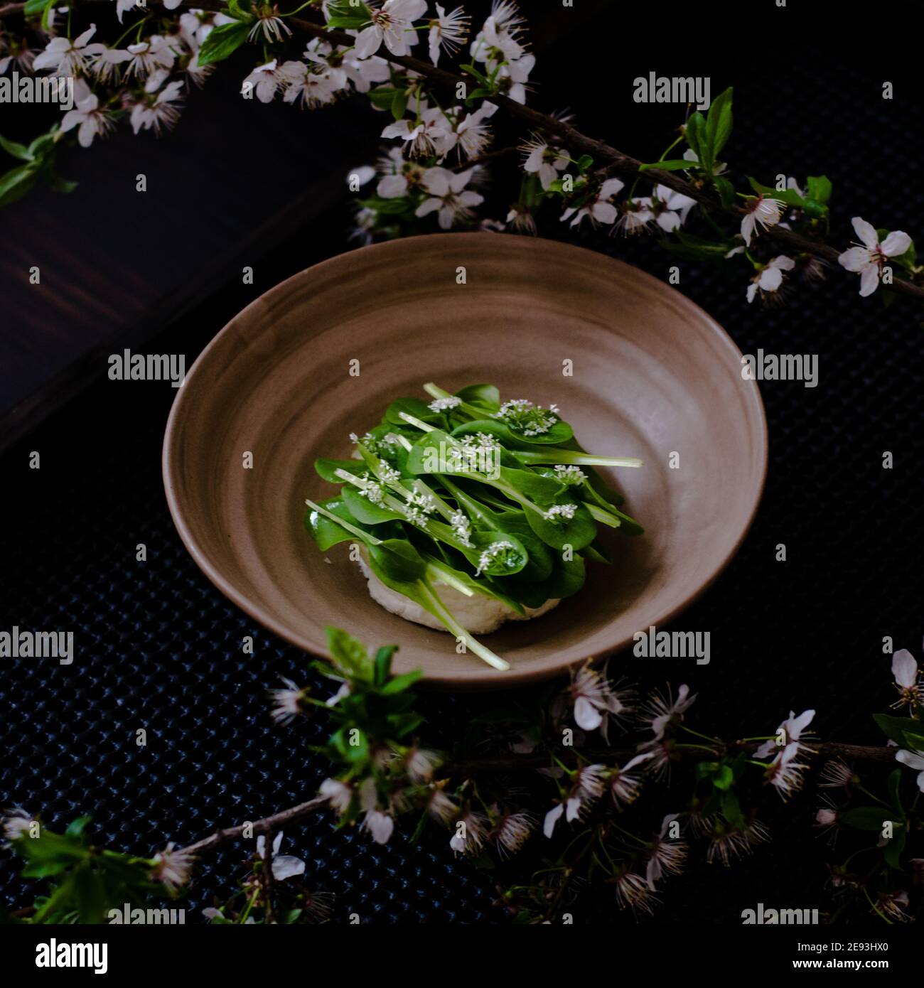 Dish of cottage cheese and garden greens with flowers made at a restaurant Stock Photo