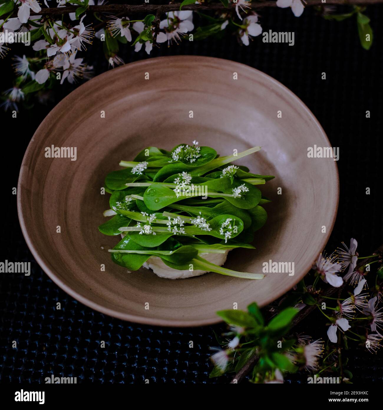 Dish of cottage cheese and garden greens with flowers made at a restaurant Stock Photo