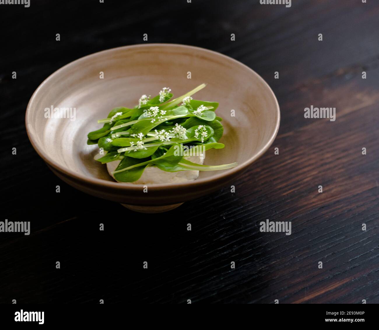 Dish of cottage cheese and garden greens with flowers made at a restaurant Stock Photo