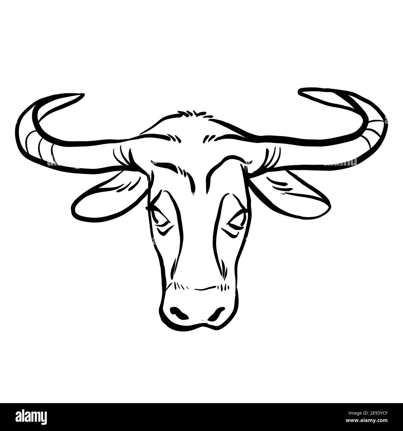 Illustration of the head of a bull, buffalo, icon of a new 2021 chinese new year and isolated on a white background Stock Photo