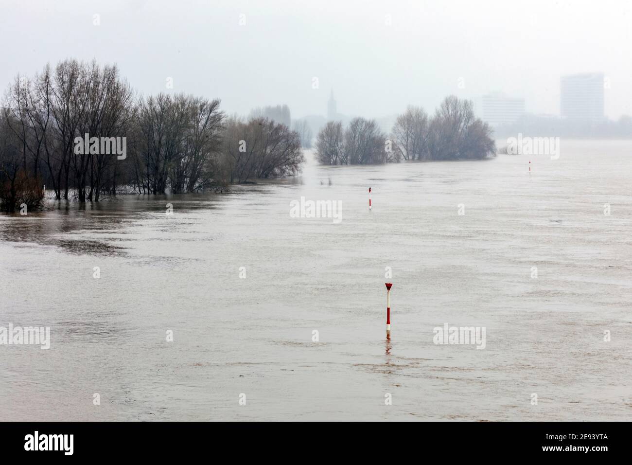 Flood on the Rhine in Dusseldorf Stock Photo Alamy