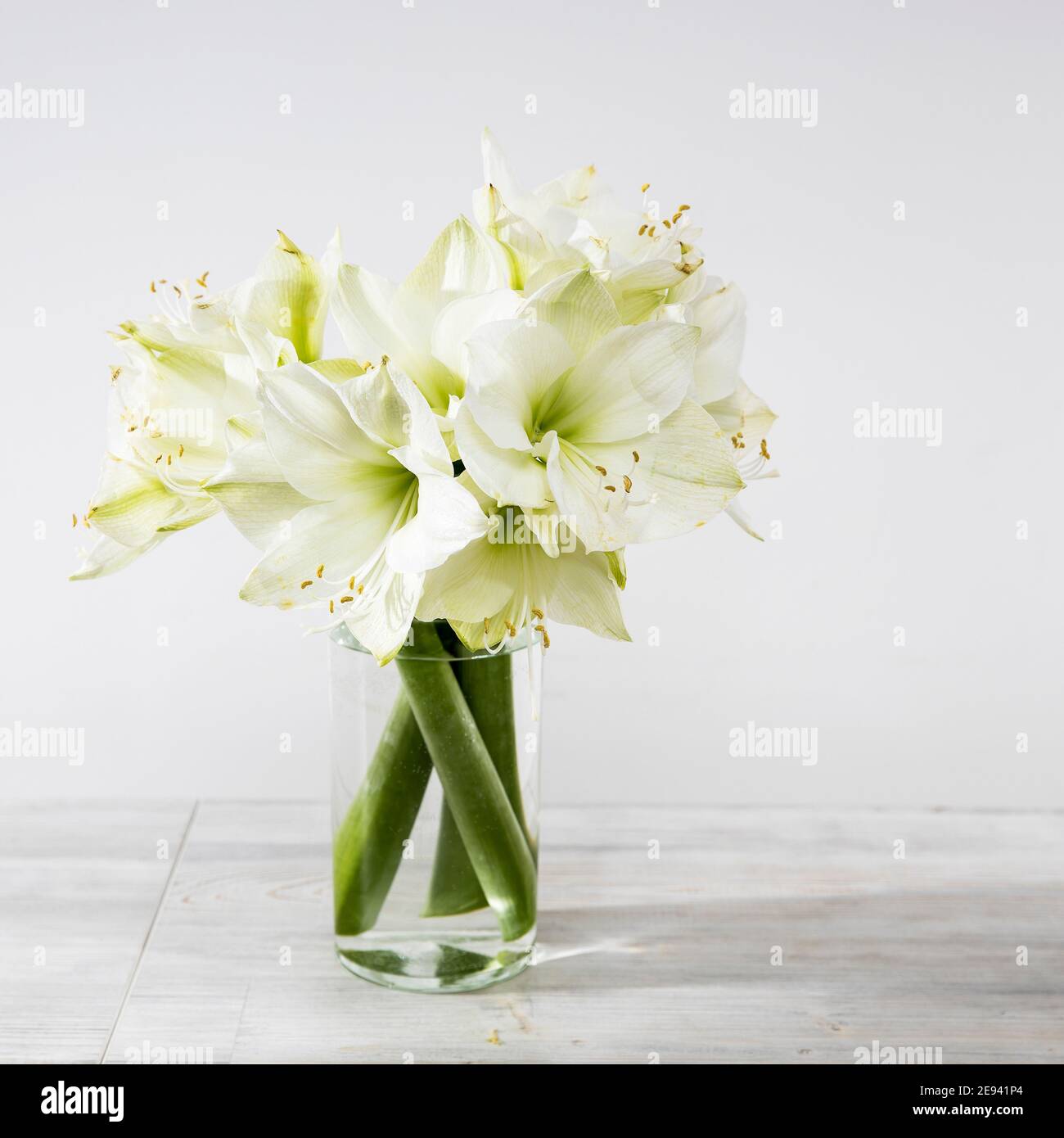 Bouquet of white lilies in a tall glass vase on a beige table against a ...
