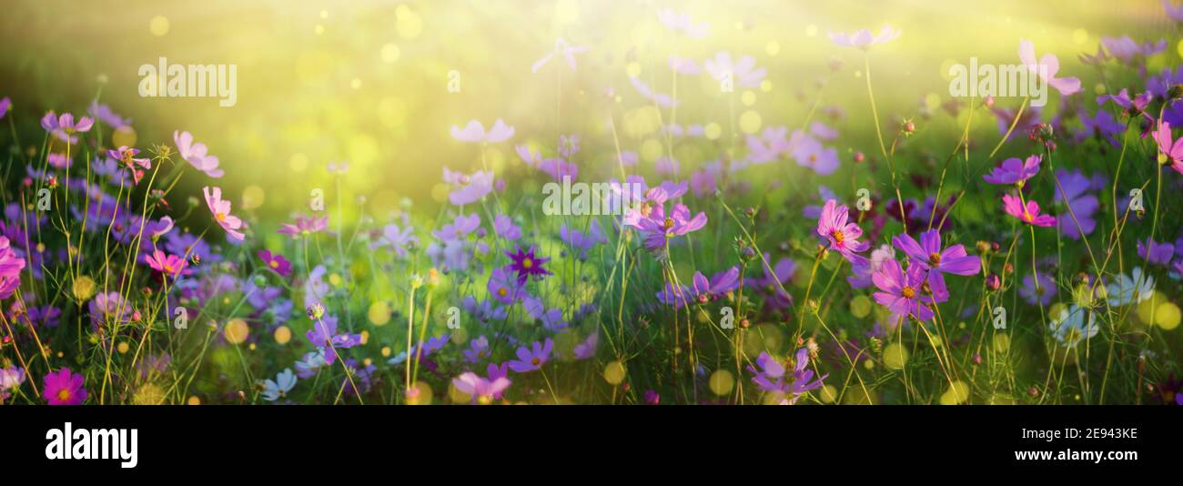 Bokeh background hd hi-res stock photography and images - Alamy