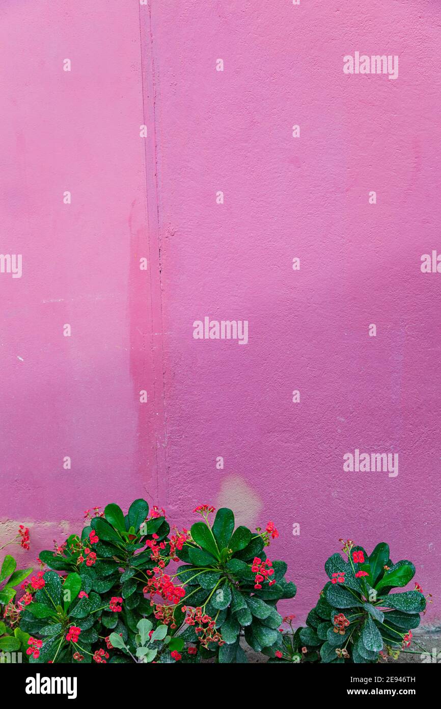 Decorative bright colored rusty surface Stock Photo