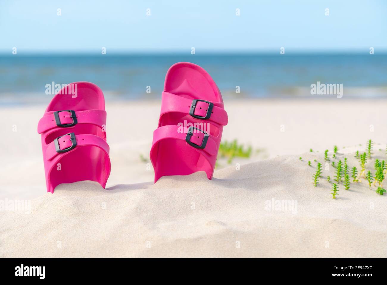 Pink sandals at the beach on a beautiful sunny day. Slippers in the sand by the sea. Flip flops at the shore by the ocean. Stock Photo
