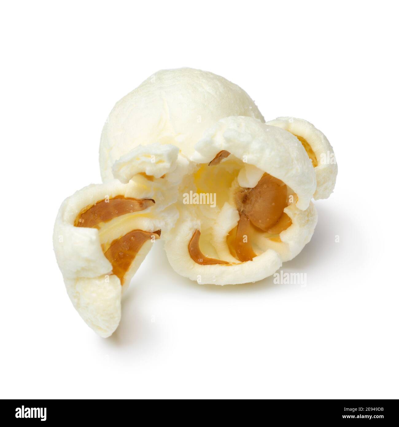 Single piece of salted popped popcorn isolated on white background