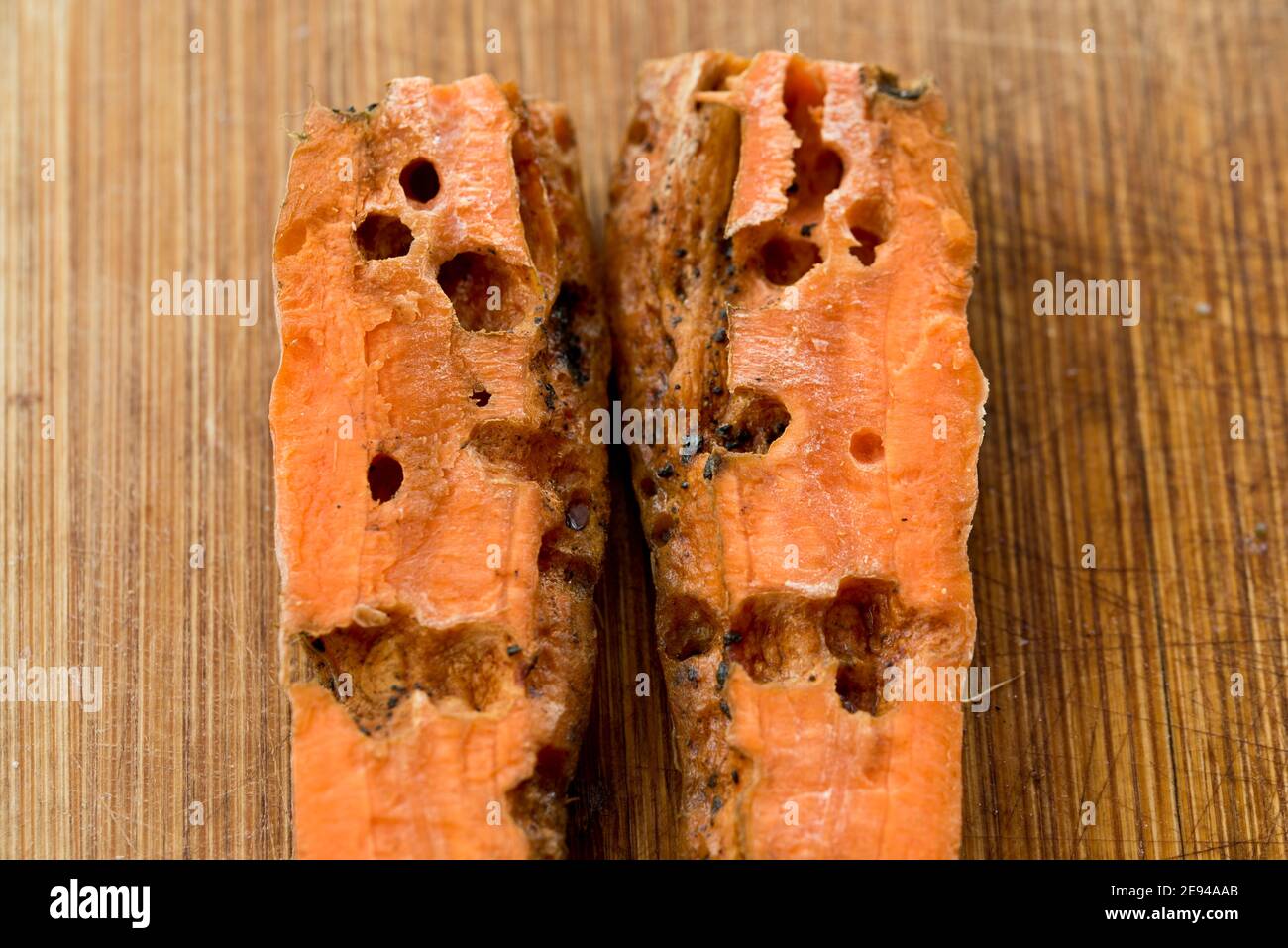 Carrot ruined by slugs Stock Photo