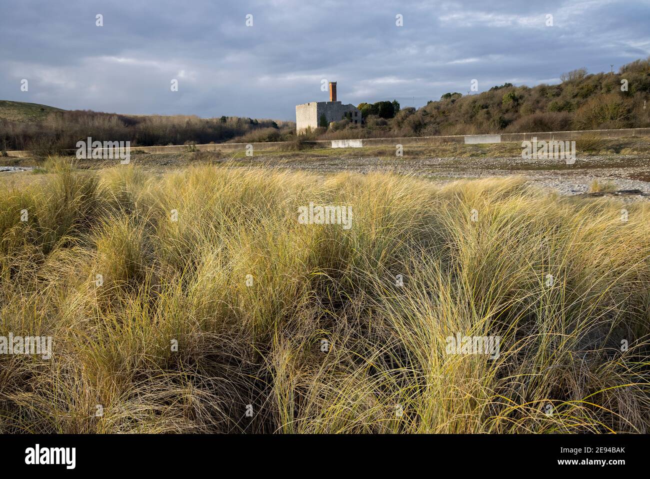 Aberthaw lime works, a Grade II listed building that operated from 1888 to 1926, with coastline sand dune marram grass, Wales, UK Stock Photo