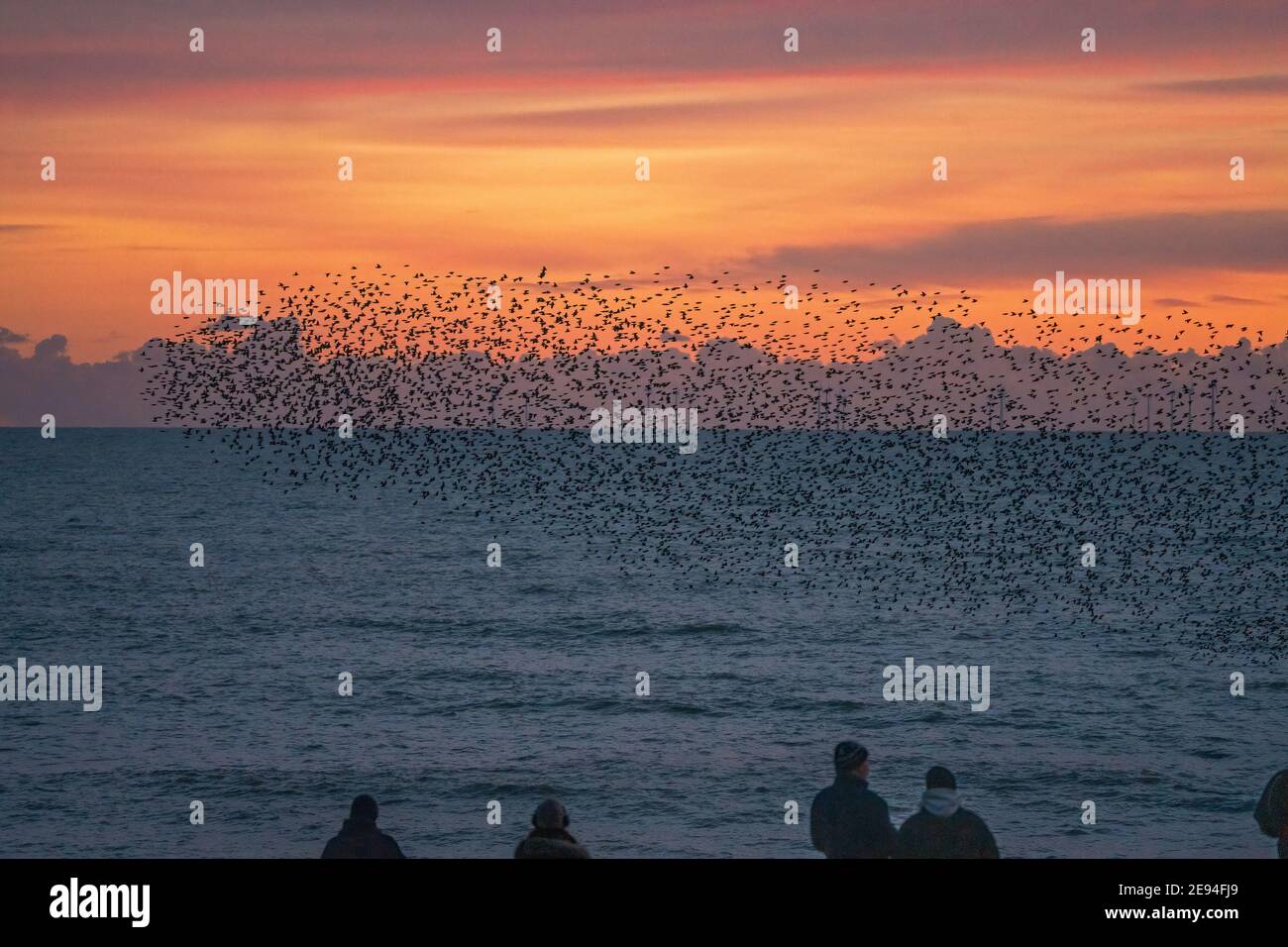 People watch a Murmuration of the Starlings-Sturnus vulgaris at the Palace Pier, Brighton, East Sussex, England, Stock Photo