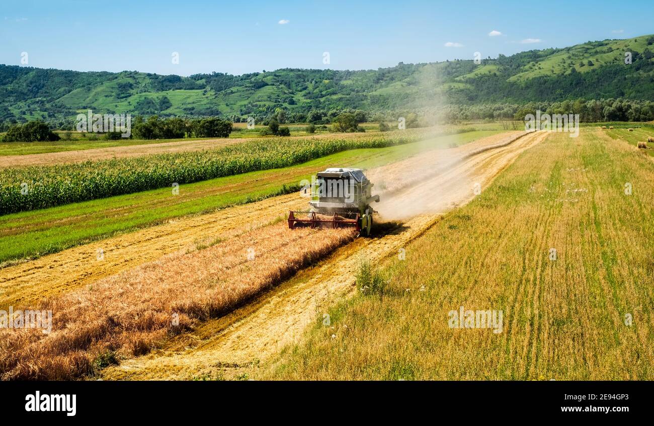 Harvester in a wheat field under the summer sun Stock Photo - Alamy