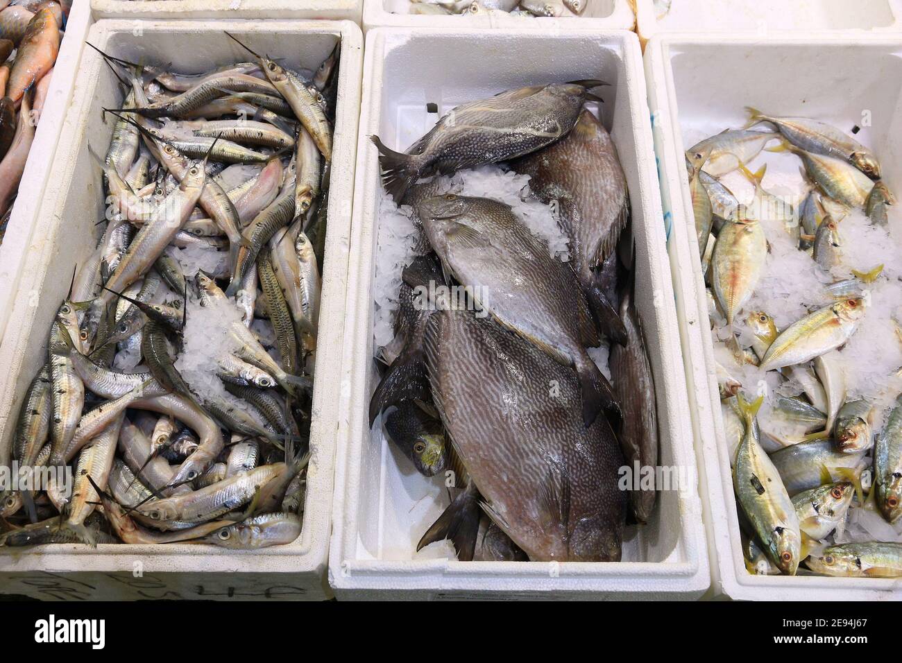 Halfbeak fish, rabbit fish and Atlantic horse mackerel at Billingsgate Fish Market in London, UK. Stock Photo