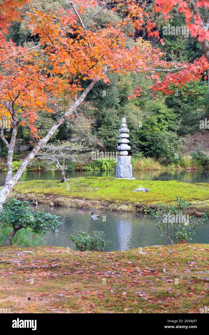 Autumn leaves of Kinkakuji Gardens in Kyoto, Japan. UNESCO World Heritage Site. Stone pagoda on a moss island. Stock Photo