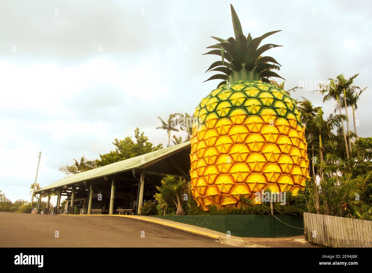 Big pineapple, queensland hires stock photography and images Alamy
