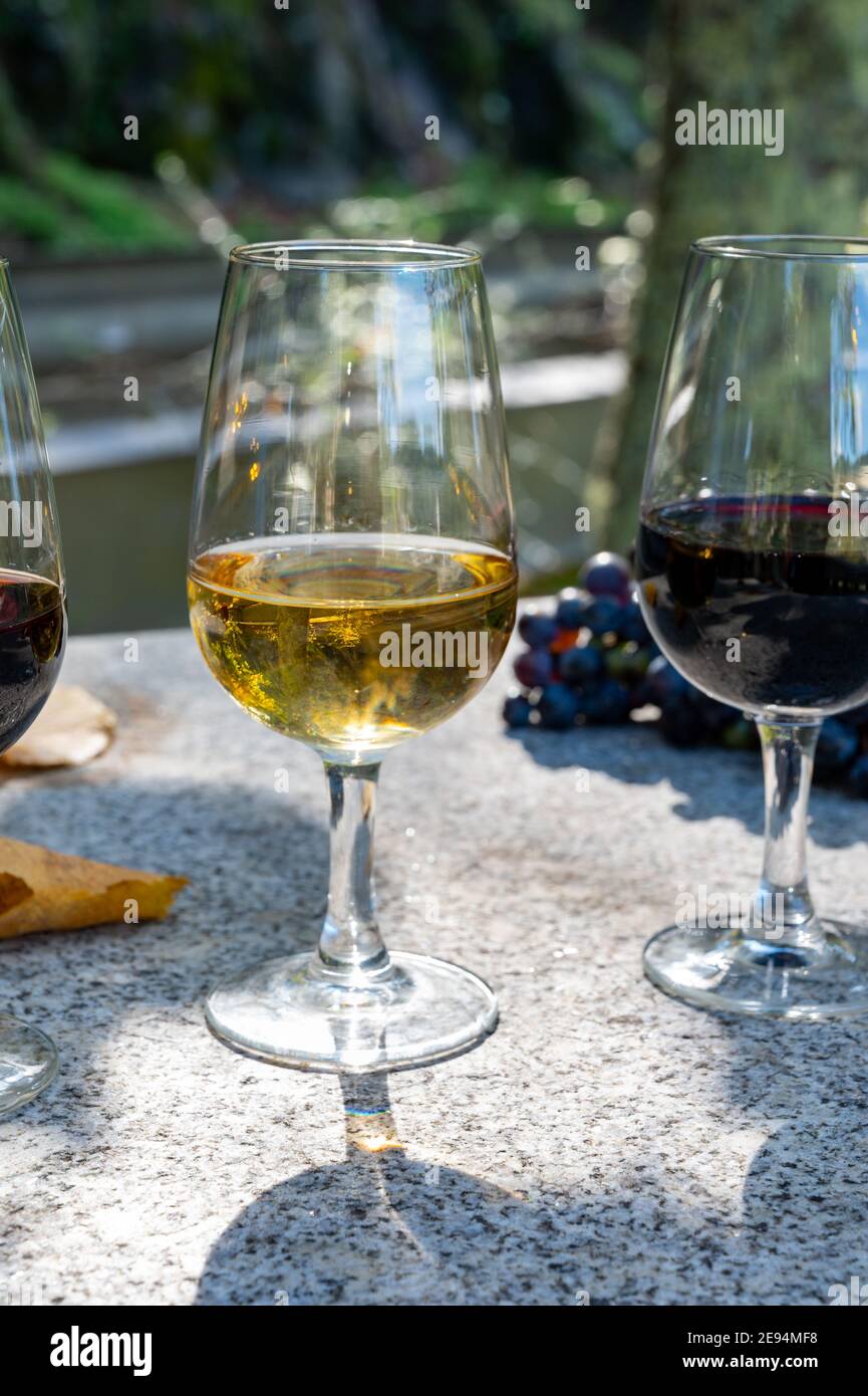 Tasting of Portuguese fortified dessert and dry port wine, produced in