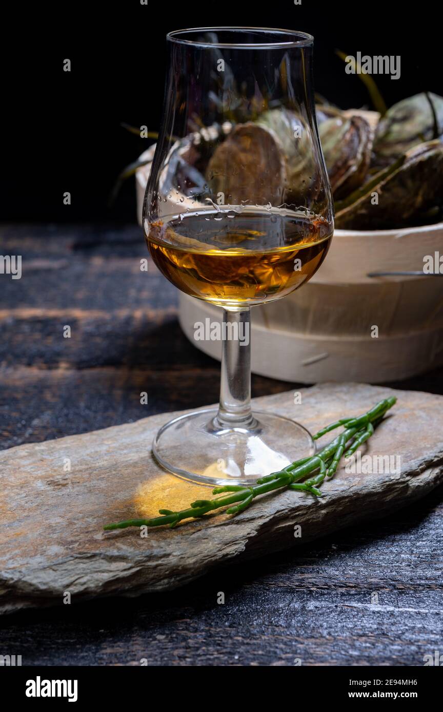 Food and drink pairing, Fresh raw European flat oysters grown in