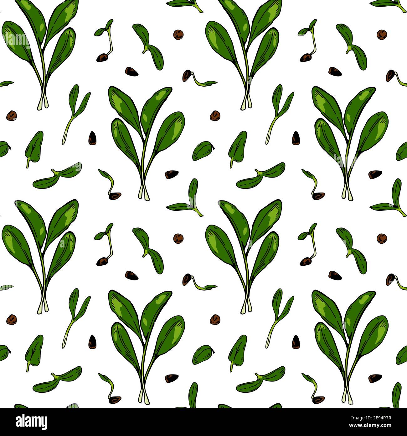 Hand drawn spinach micro greens seamless pattern. Vector illustration ...
