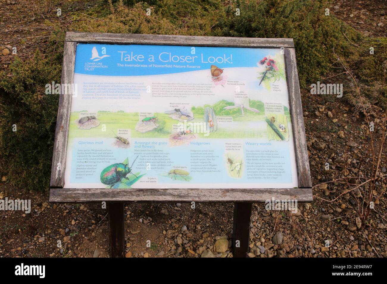 Information board depicting the diverse natural habitats of Nosterfield local nature reserve & the insects that inhabit them. Nosterfield, N.Yorks, UK Stock Photo