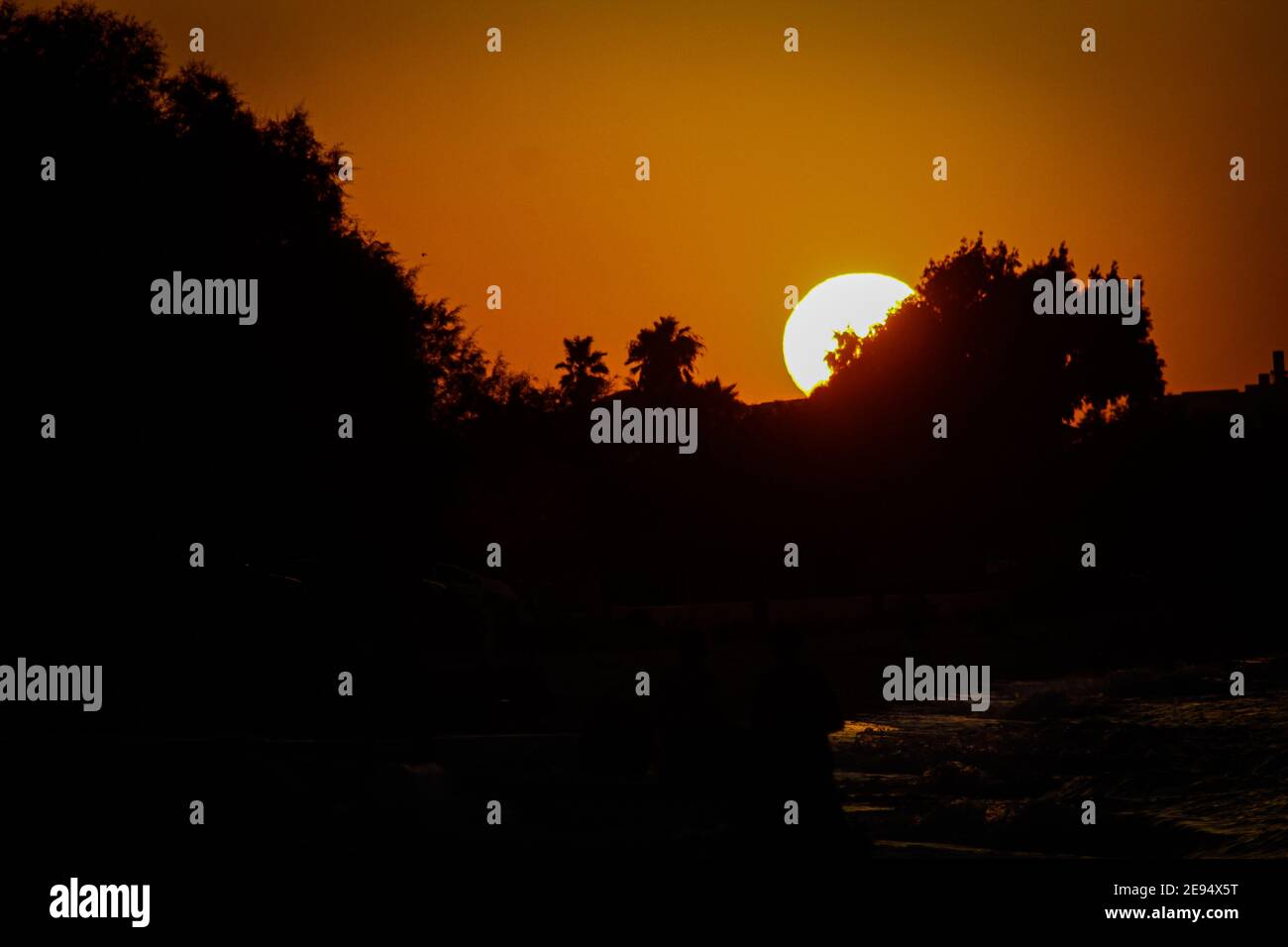 Sun being trees hi-res stock photography and images - Alamy