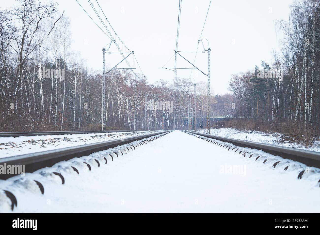 The rails are covered with snow in the winter forest. Rails from the ...