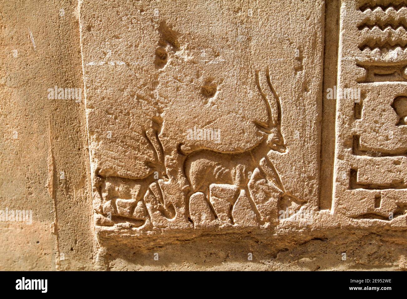 Beautiful carving of a goat mother and child on a wall of the ancient