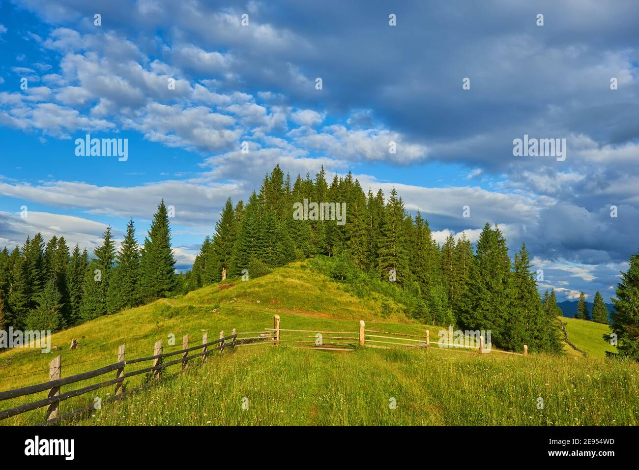 Idyllic landscape in the Alps with fresh green meadows and blooming ...