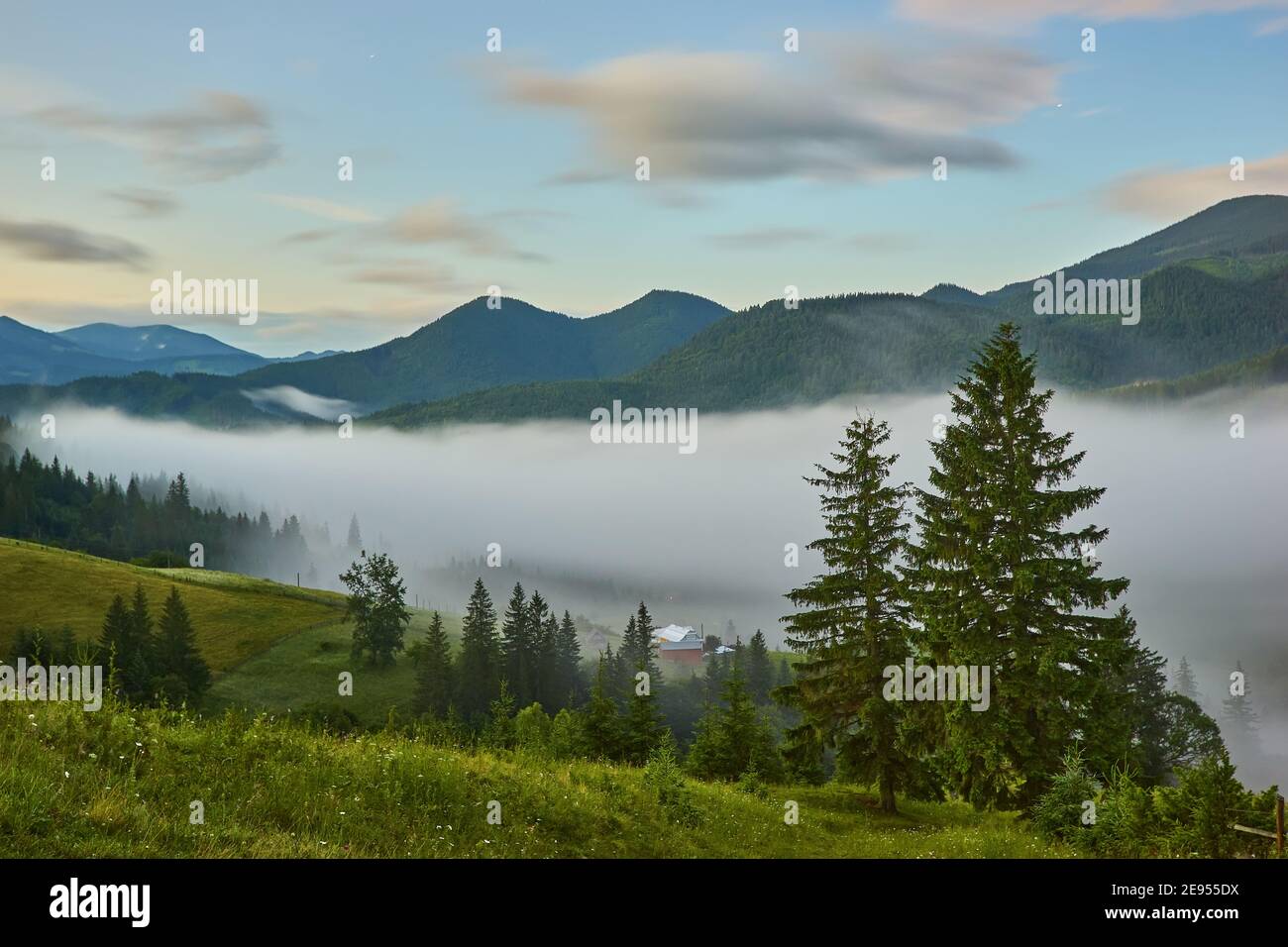 Landscape with fog in mountains and rows of trees Stock Photo - Alamy