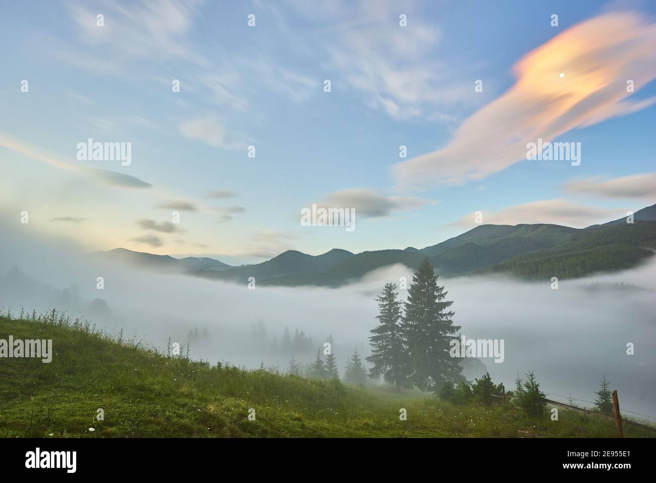 Landscape with fog in mountains and rows of trees Stock Photo - Alamy