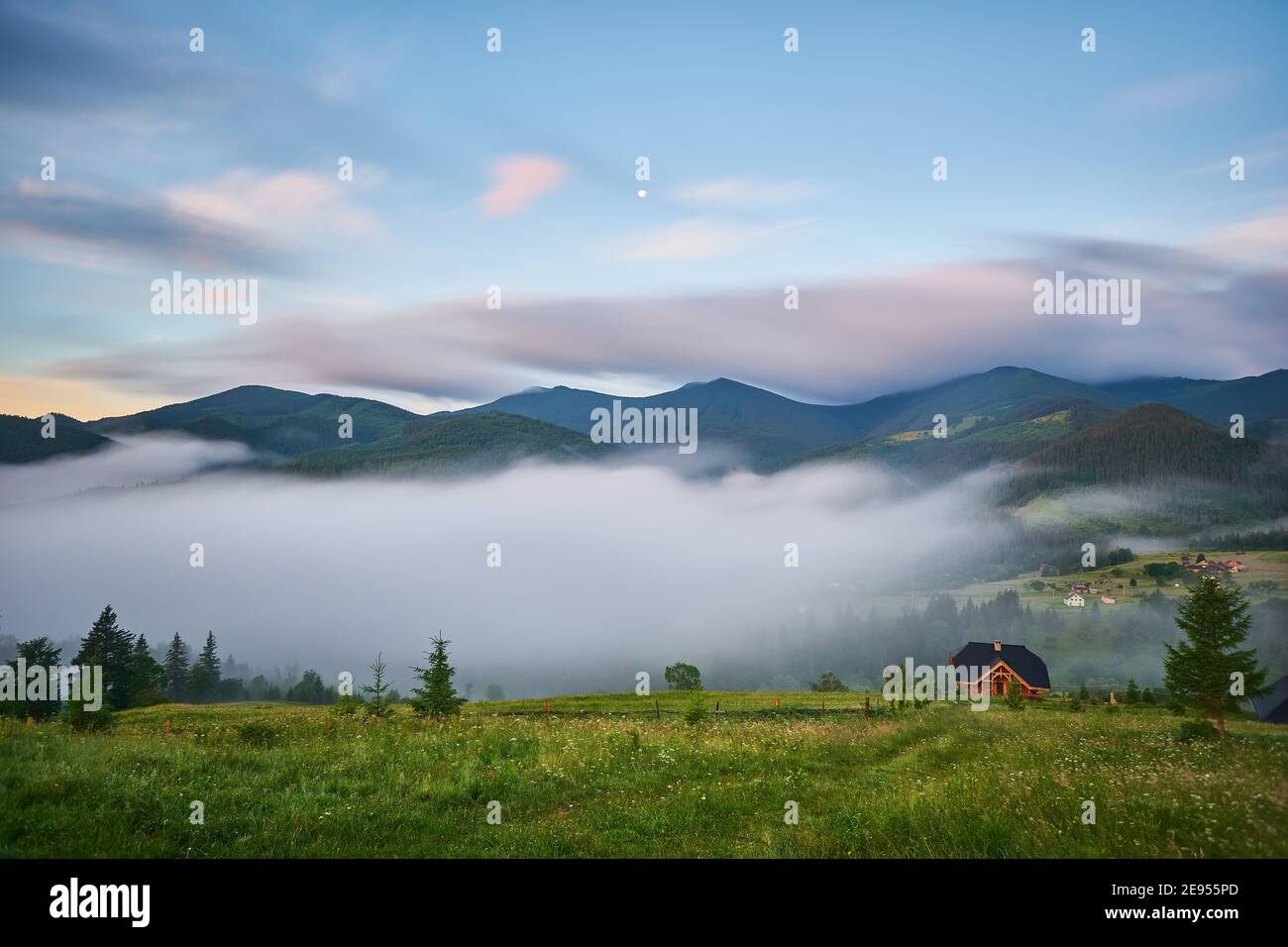 Landscape with fog in mountains and rows of trees Stock Photo - Alamy