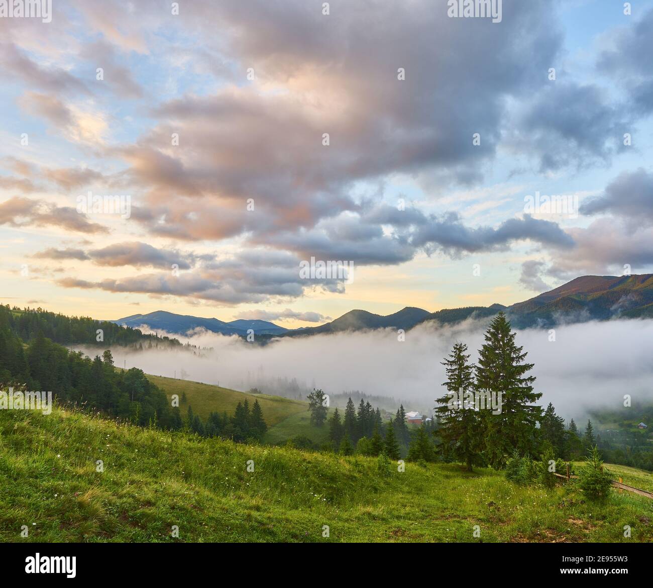 Landscape with fog in mountains and rows of trees Stock Photo - Alamy