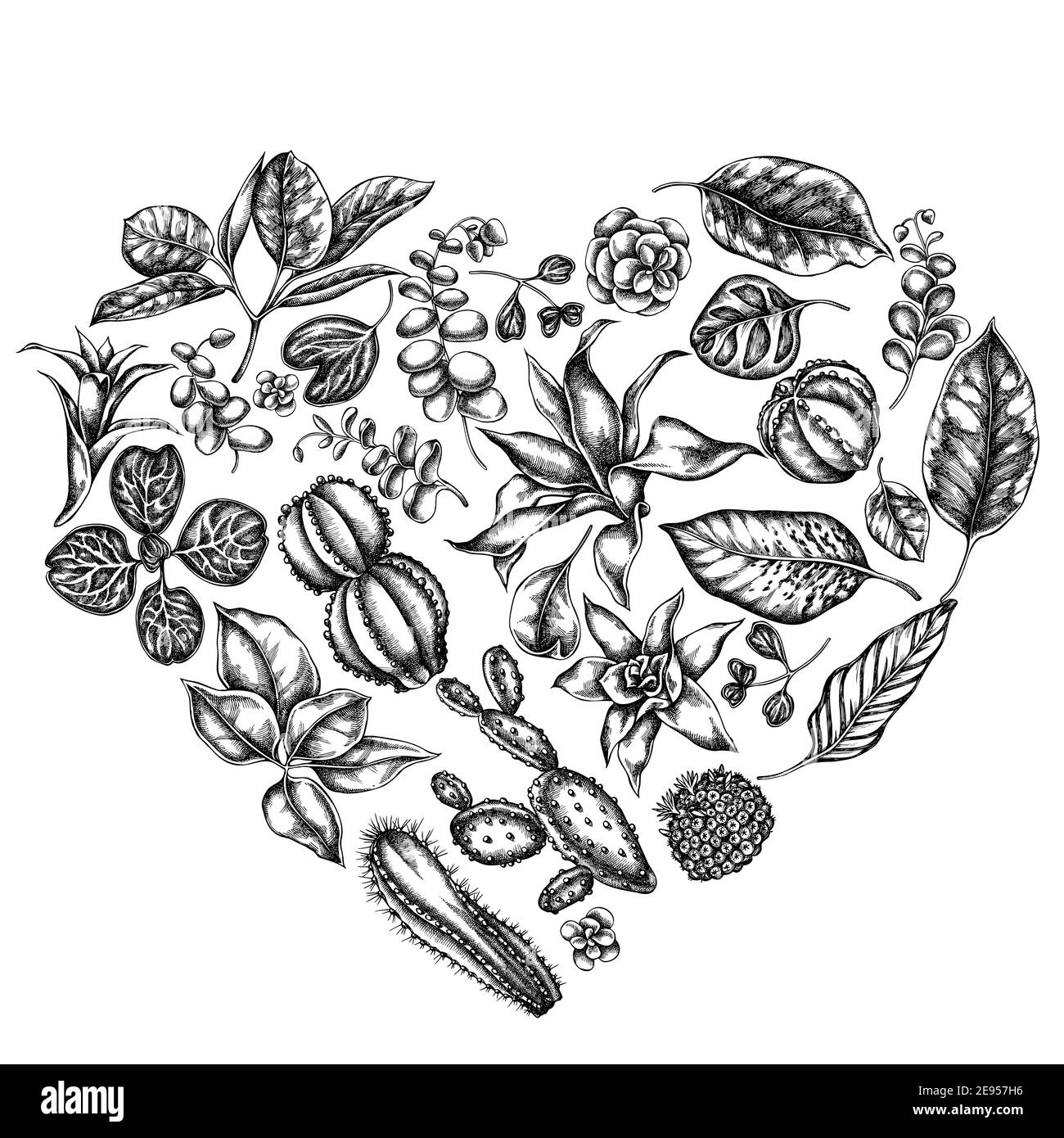 Heart floral design with black and white ficus, iresine, kalanchoe, calathea, guzmania, cactus Stock Vector
