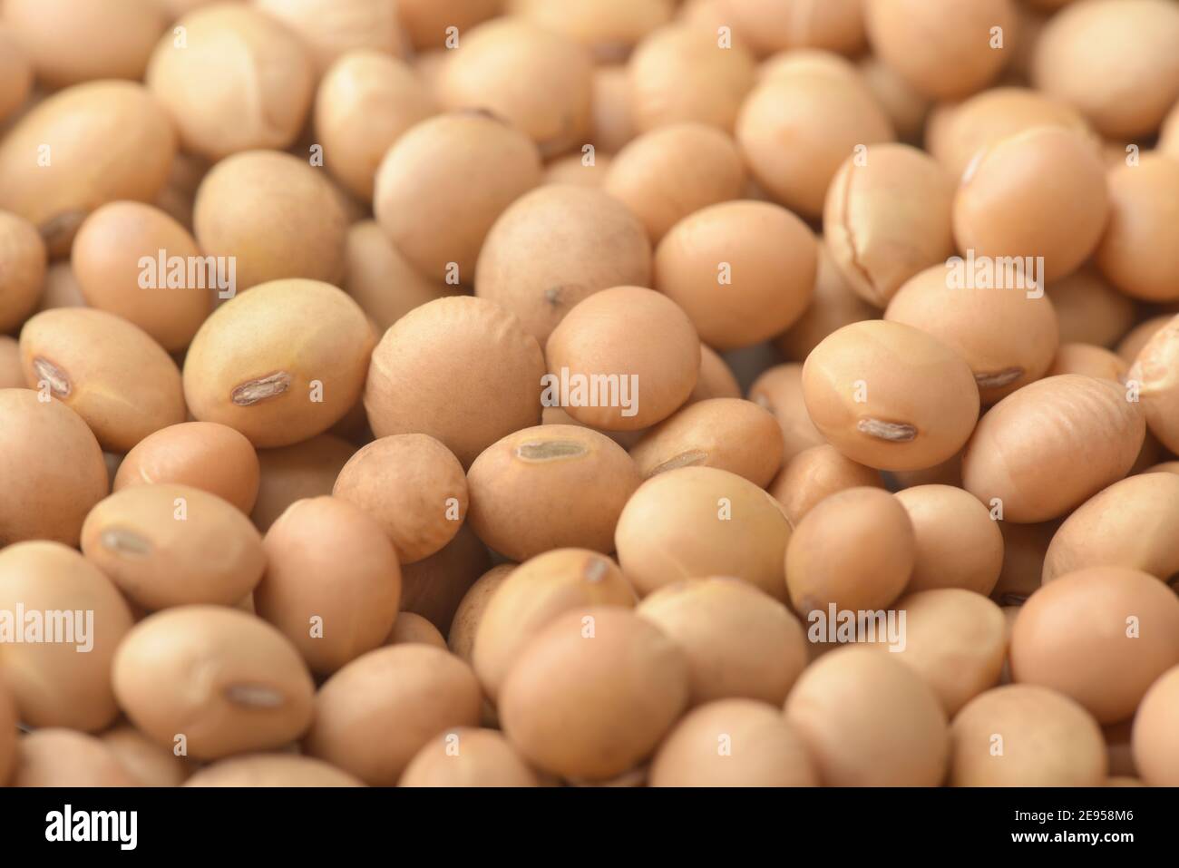Close up of dried soy beans background Stock Photo