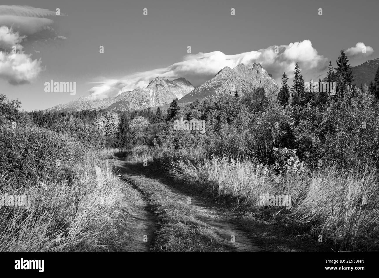 Slowakia , Europe  High Tatras mountains national park in Slovakia Stock Photo