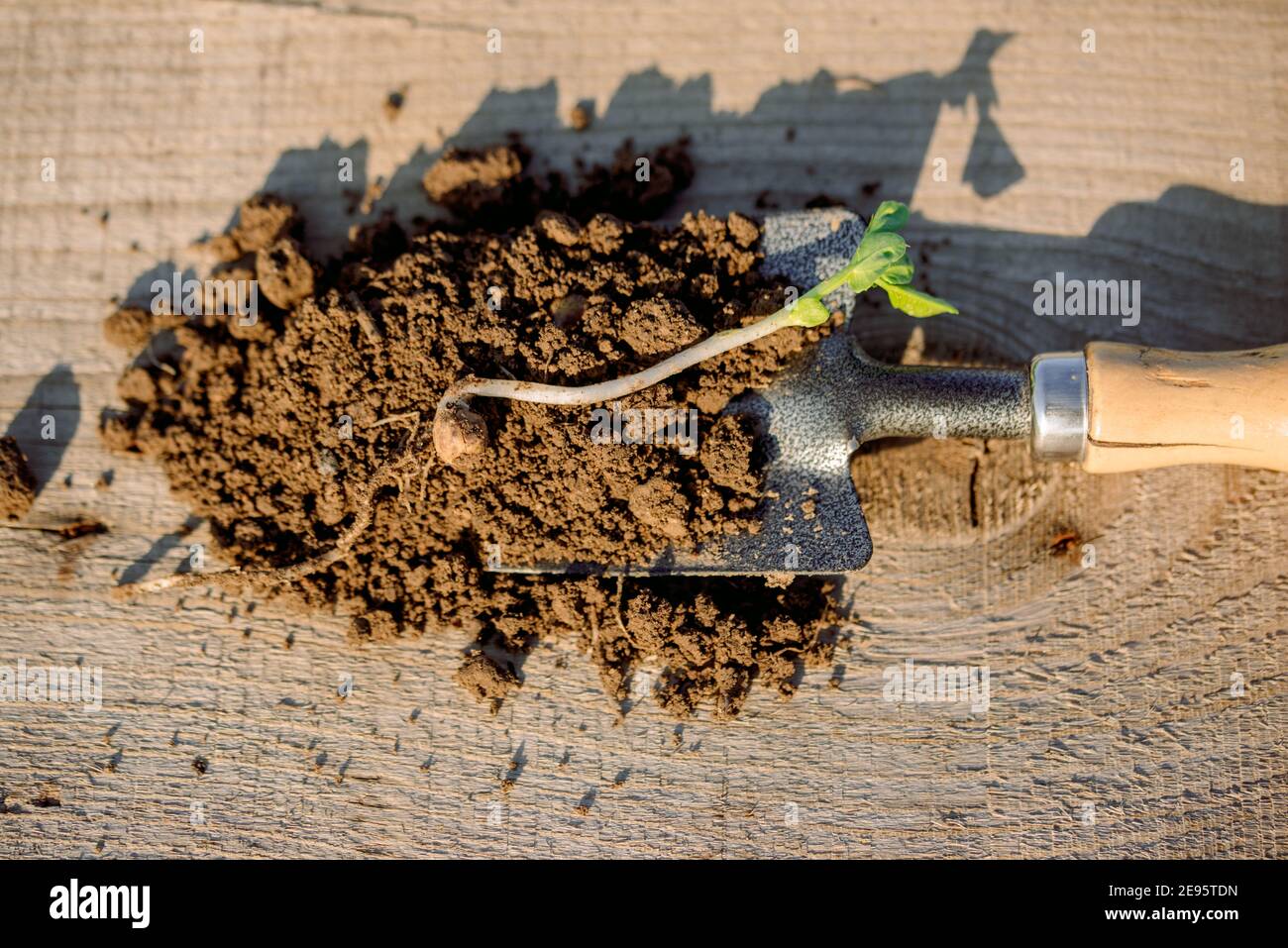 Metal spade hi-res stock photography and images - Alamy
