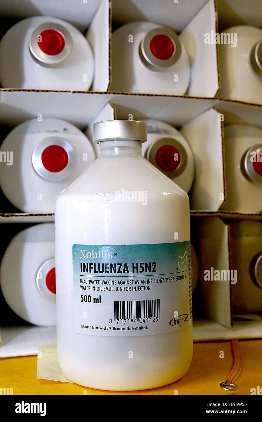 EXCLUSIVE. First lots of bird flu vaccines arrive in Air sur l'Adour, south  west of France on february 22, 2006 after the European Commission gave  conditional approval to French and Dutch plans