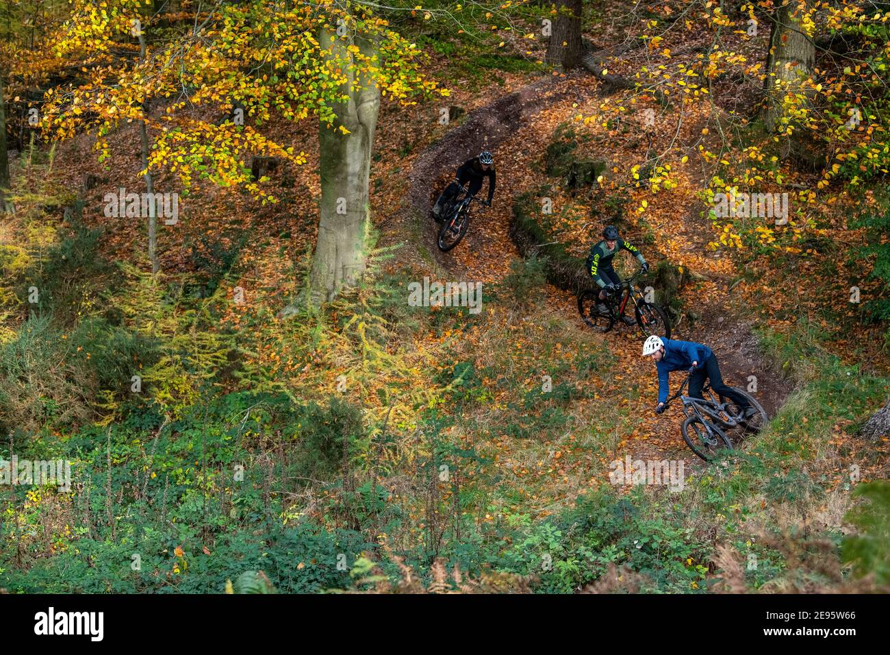 Three men ride mountain bikes on a trail an autumnal day on Cannock Chase in Staffordshire. Stock Photo
