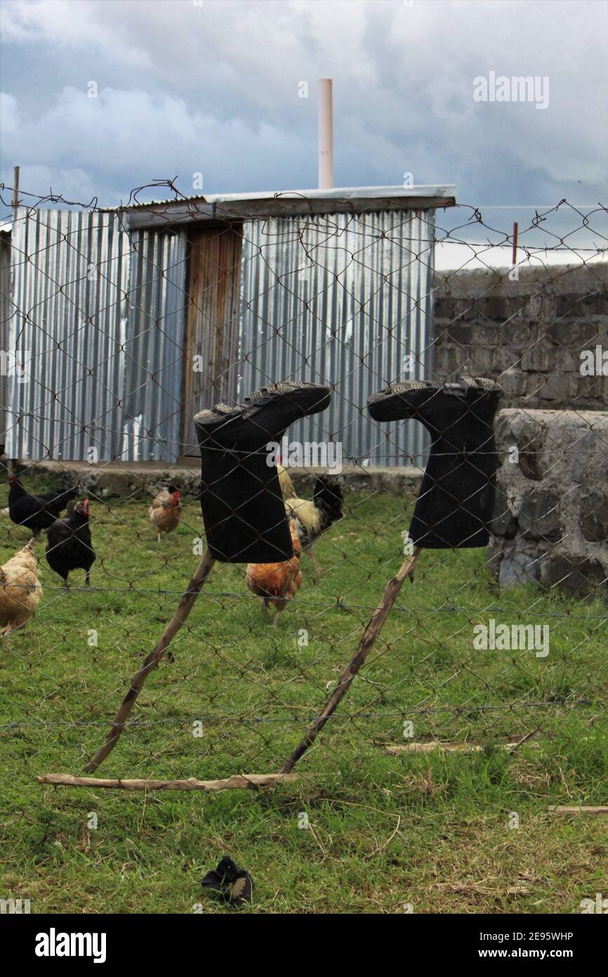 Boots in a chicken coop Stock Photo