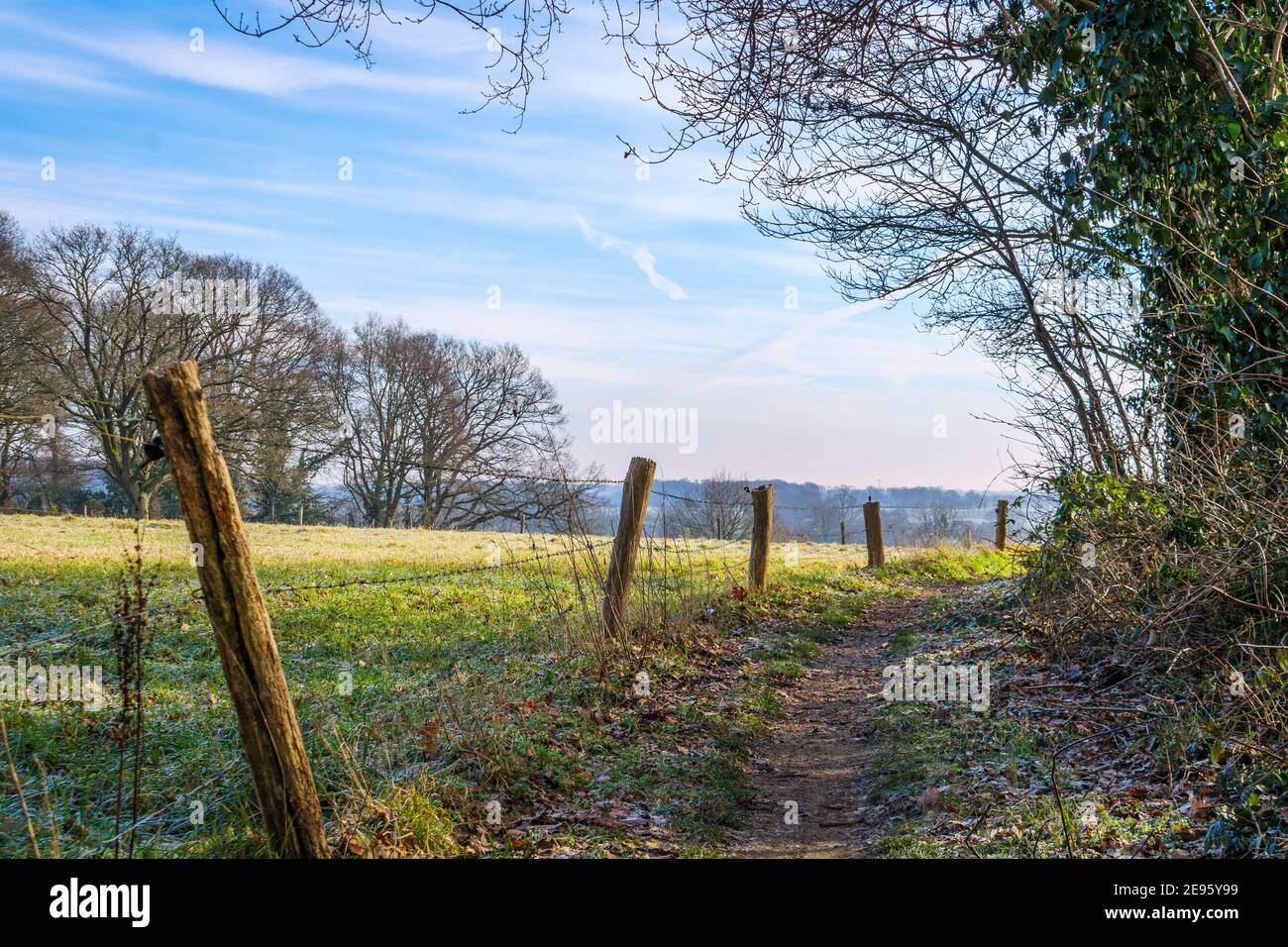 Hiking trail in the hills of Markelo, Twente, Netherlands. MTB route in  winter Stock Photo - Alamy