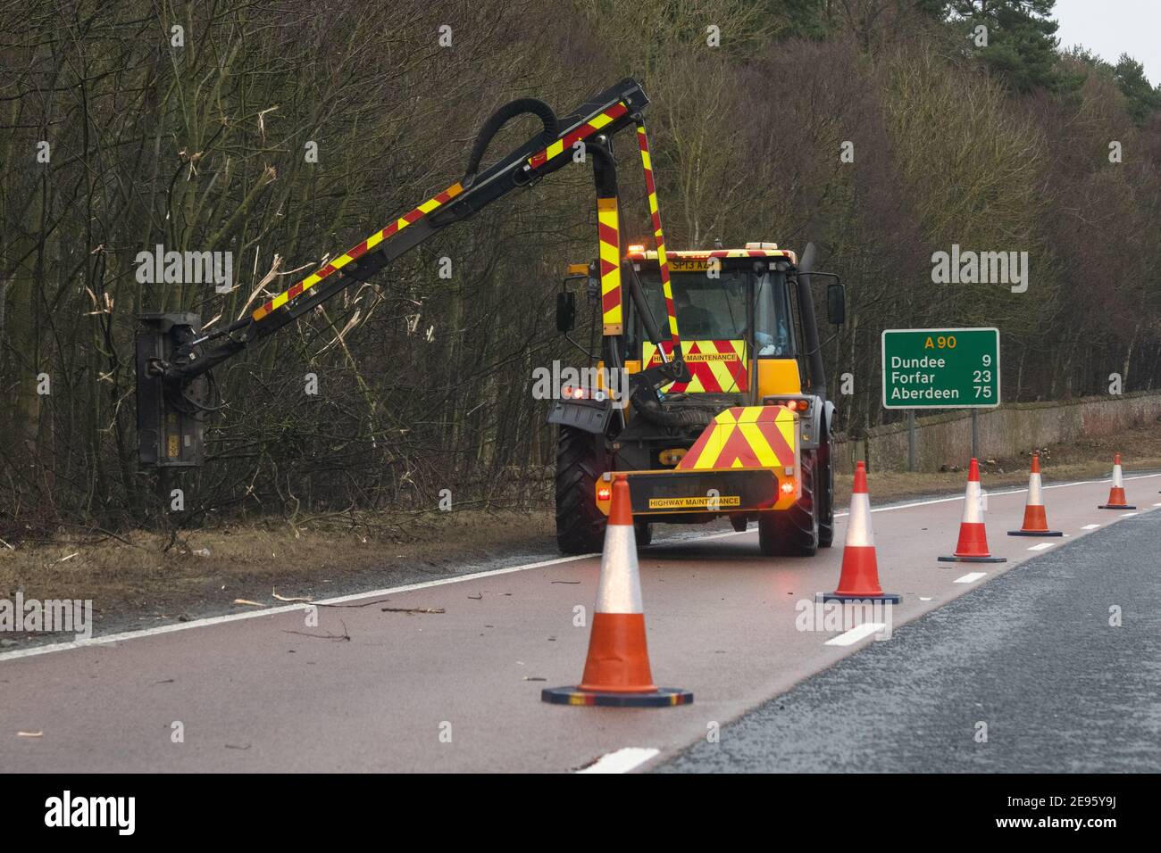 Tree trimming using a flail hedge cutter attached to tractor along the side of the A90 trunk road, Scotland, UK Stock Photo