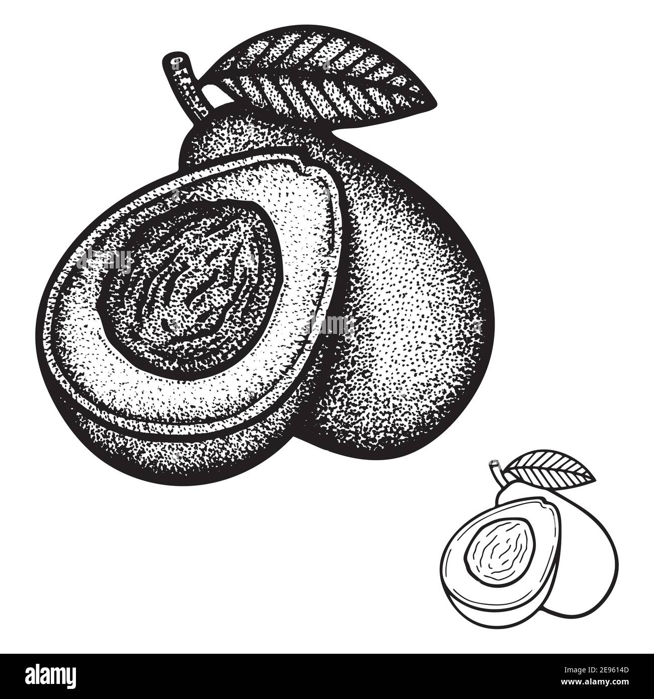 Avocado Black And White Stock Photos Images Alamy