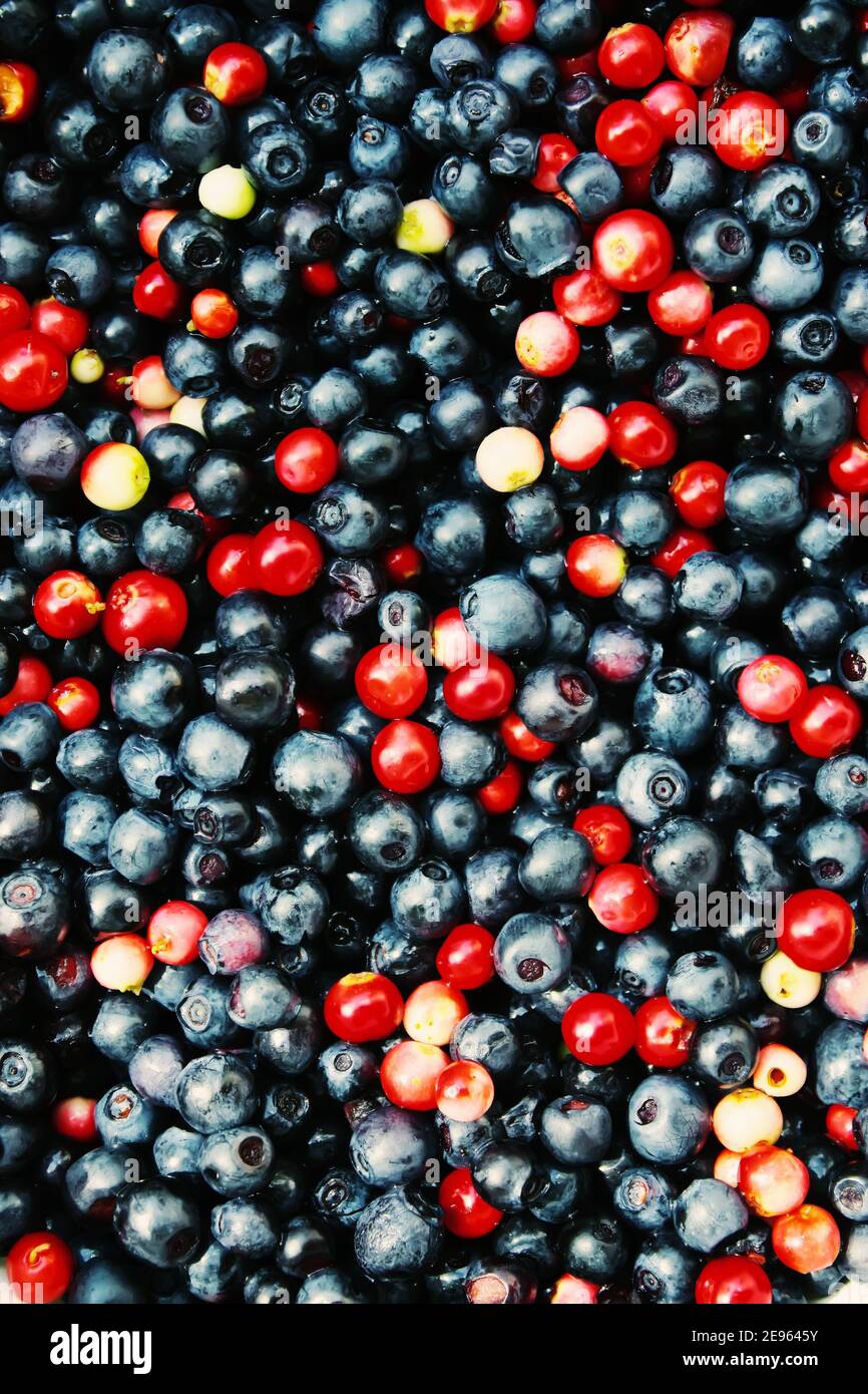 Fresh ripe forest ranberries and blueberries background Stock Photo - Alamy