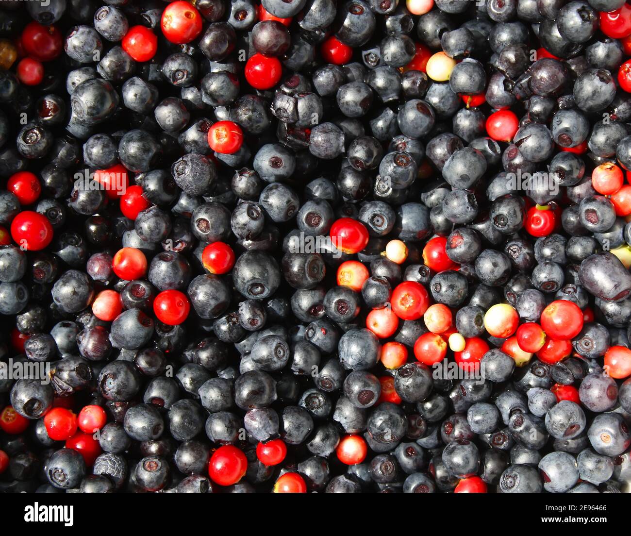Fresh ripe forest ranberries and blueberries background Stock Photo - Alamy