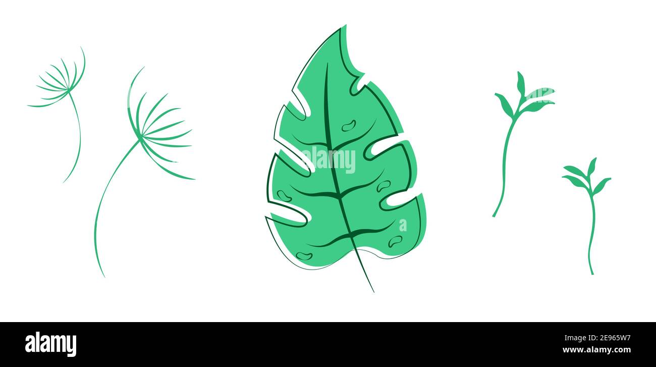 Set of green leaves illustration. High quality nature vector Stock ...