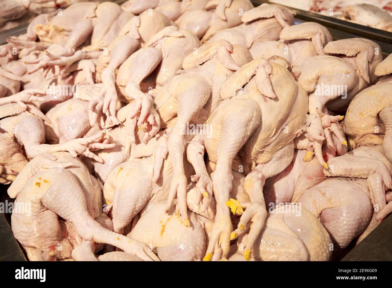 Plucked carcasses of chickens on the counter of a grocery store. Stock Photo