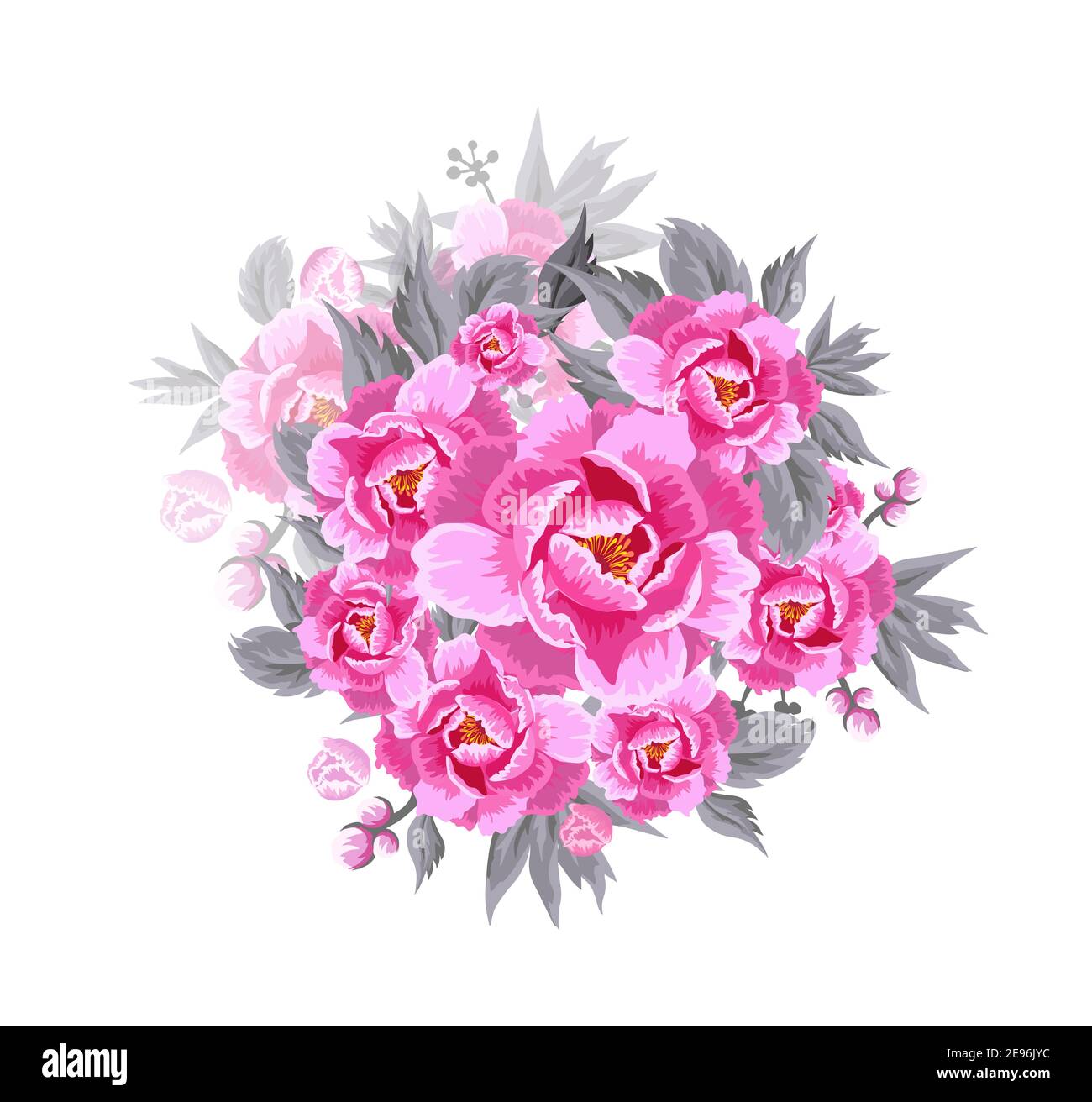 Peony flower on white background. Vector background for your design ...