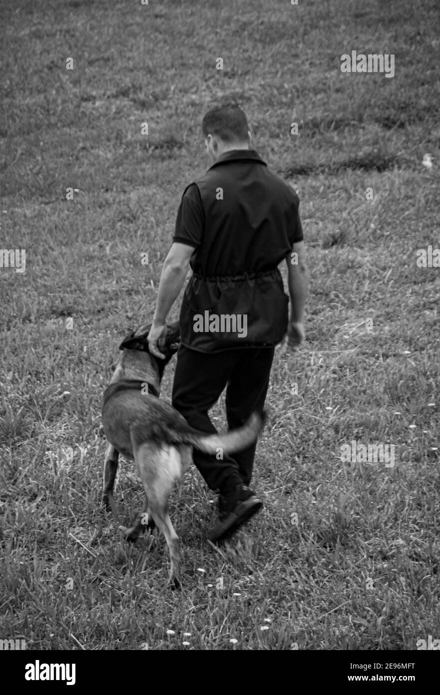 How Do I Train My Dog For Personal Protection