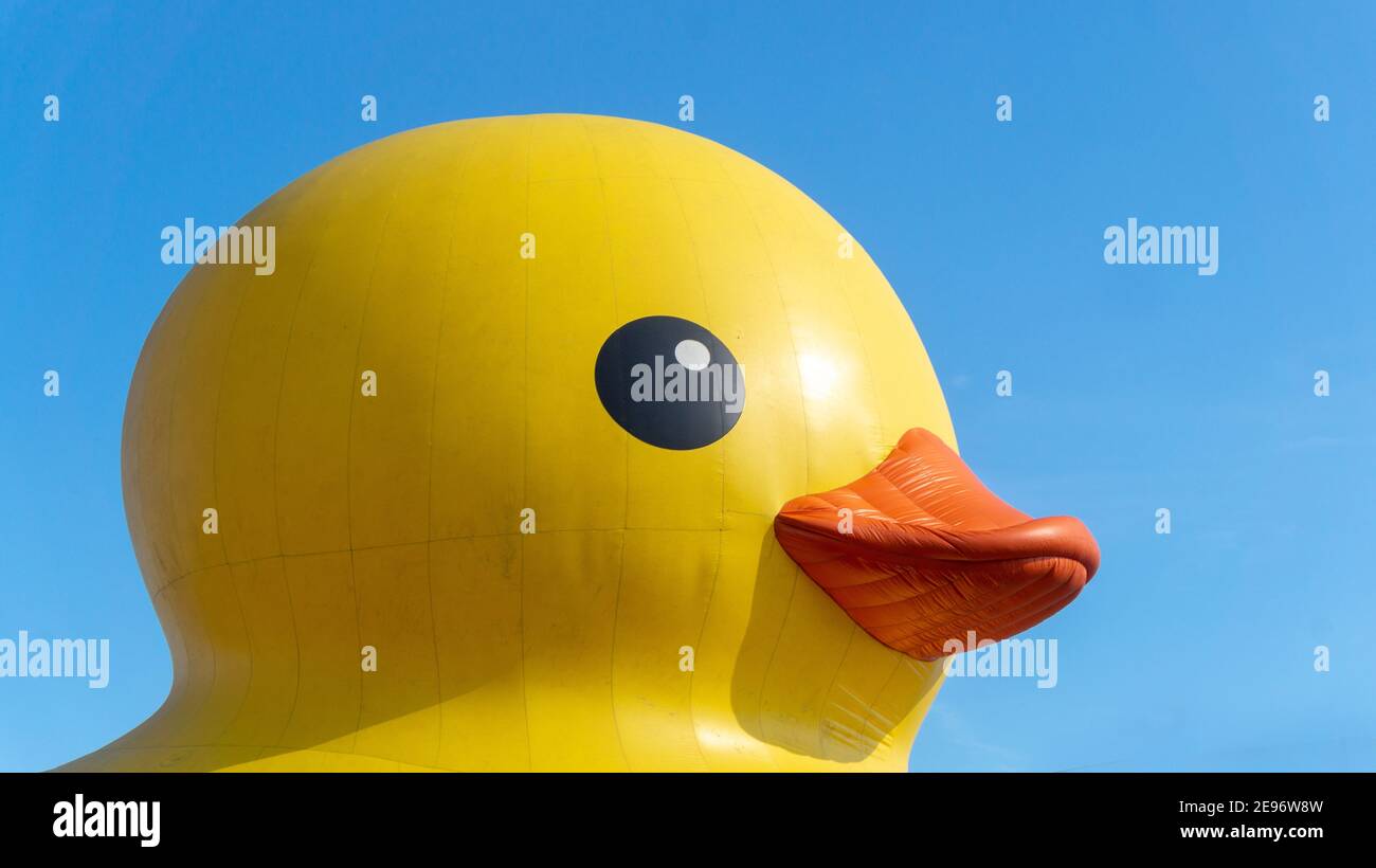 Giant Rubber Duck to Celebrate Canada 150 Anniversary-Toronto, Canada-Jun 30, 2017 Stock Photo