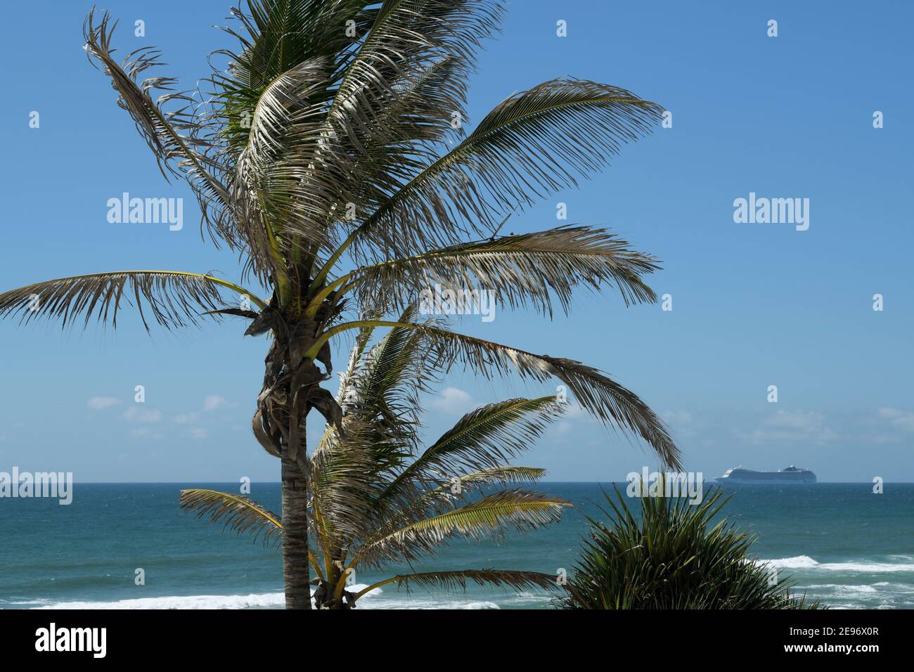 Dream holiday, palm trees, blue sky background, cruise ship on horizon, landscapes, seascapes, travel concepts, Durban, South Africa, illustration Stock Photo